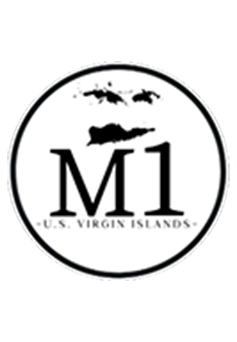 M1 Enterprises Logo